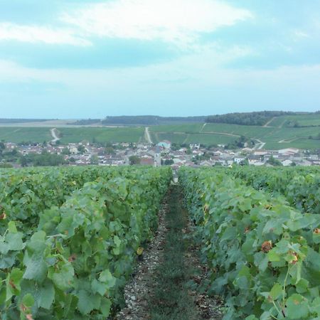Une Parenthese En Champagne Jaucourt Exterior foto